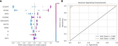 Peripheral PD-1+NK cells could predict the 28-day mortality in sepsis patients